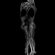 Illustration for article titled Tender and Playful X-Ray Portraits of Couples